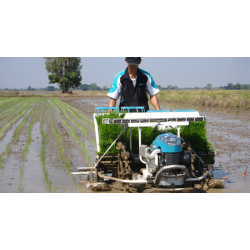 1- BIGDEL KUBOTA SPW-48C ÇELTİK FİDE DİKİM MAKİNESİ